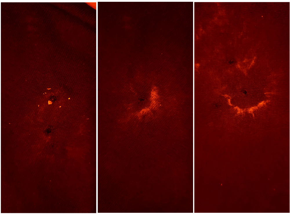 Cercetare la fata locului - iluminare criminalistica